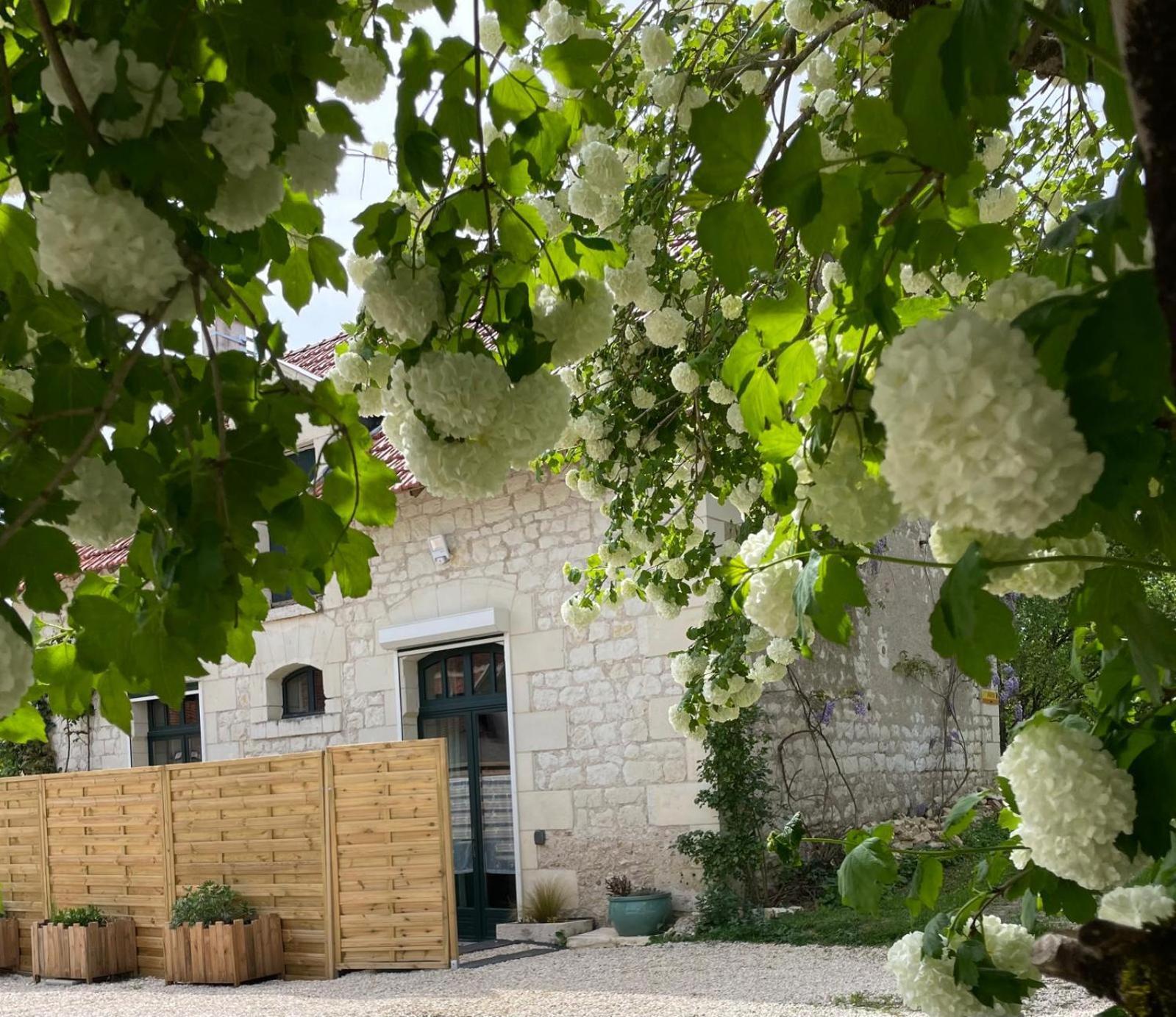 Le Relais, La Dormance, Le Bois Dormant Hotel Chateauvieux  ภายนอก รูปภาพ